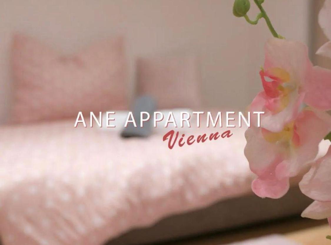 Ane Apartment Vienne Extérieur photo